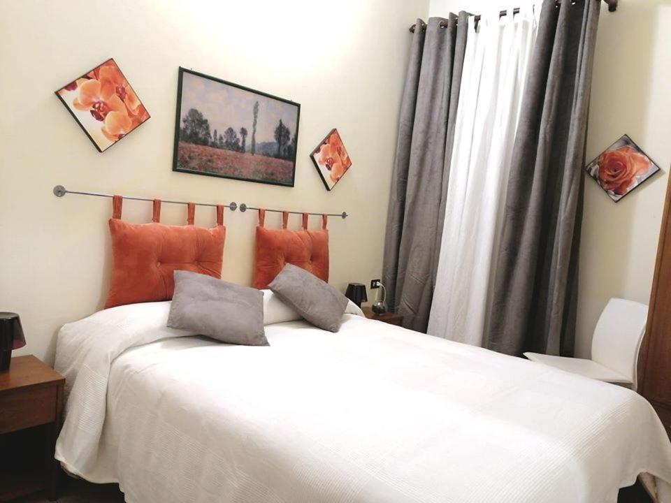 كامبي بيسينسيو Hotel Centro المظهر الخارجي الصورة